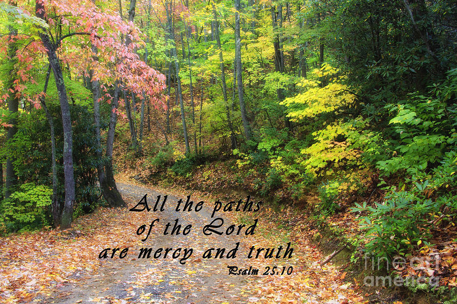 Autumn Path with Scripture Photograph by Jill Lang