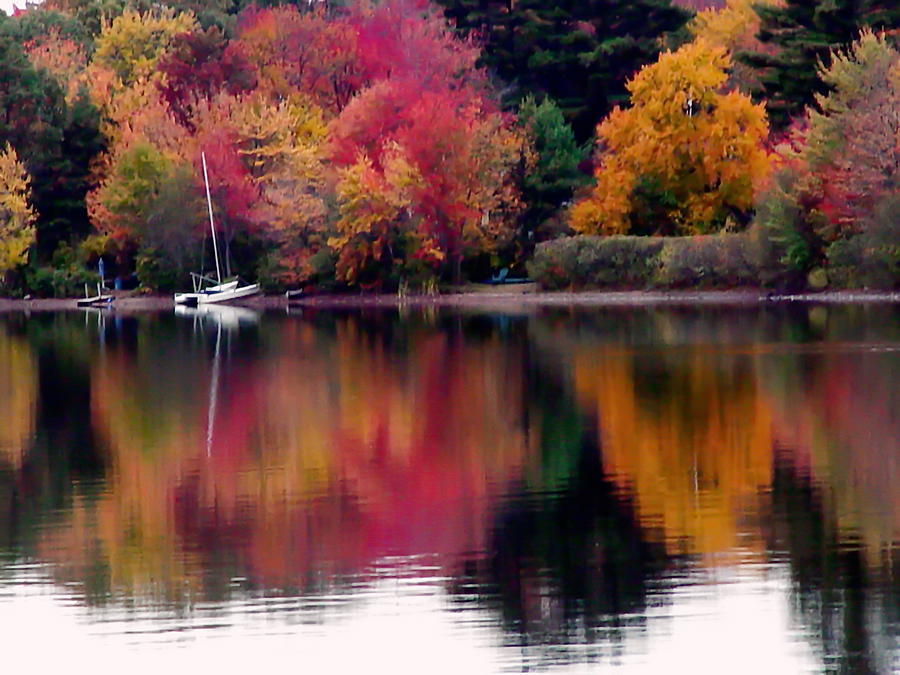 Autumn Peace Photograph by Cindy Greenstein