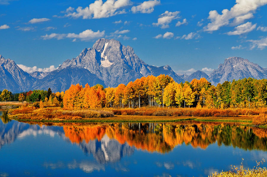 Autumn Peak at Oxbow Bend Photograph by Greg Norrell