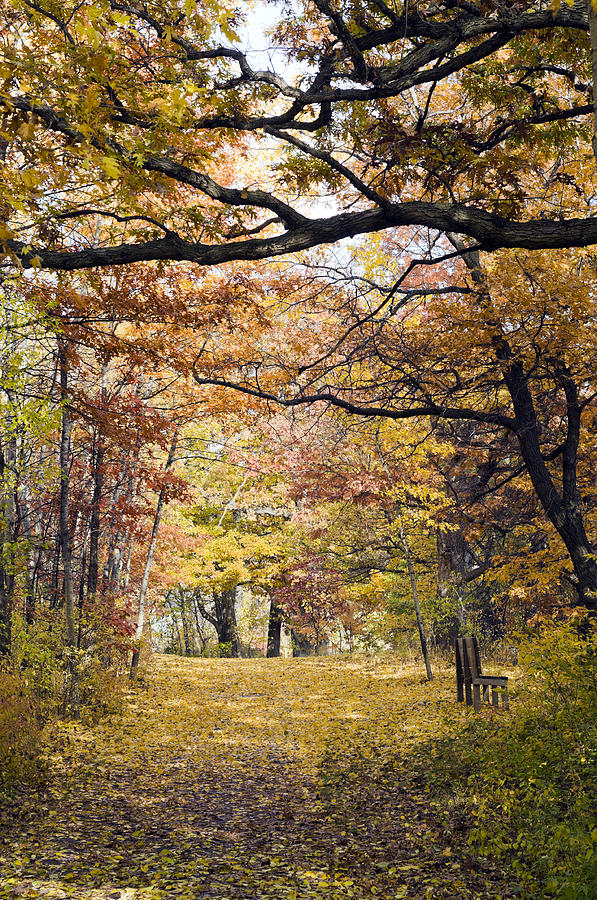 Autumn Pedestrian Path Photograph by Lynn Hansen