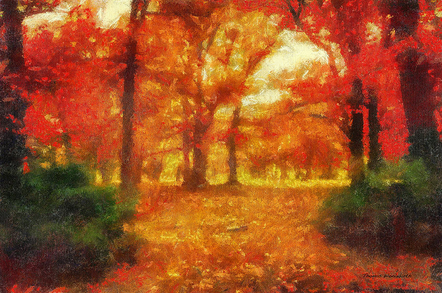 Autumn Photo Art 02 Photograph by Thomas Woolworth