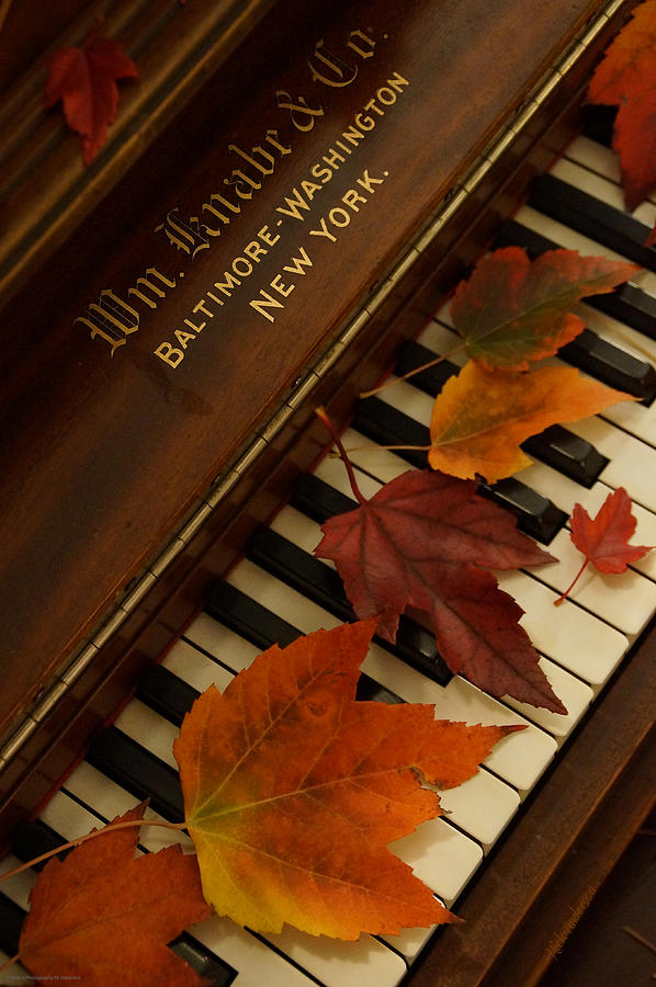 Autumn Piano 11 Photograph by Mick Anderson