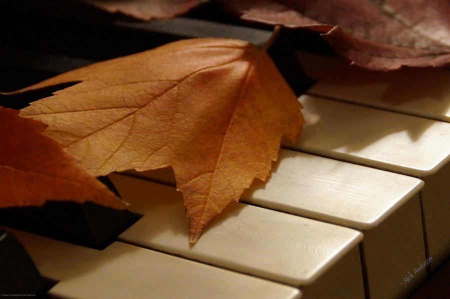 Fall Photograph - Autumn Piano 12 by Mick Anderson
