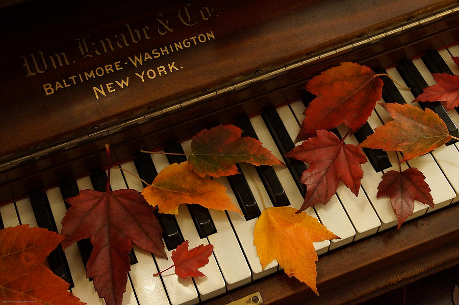 Autumn Piano 14 Photograph by Mick Anderson