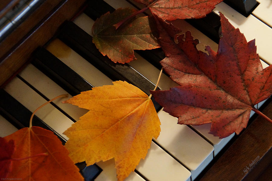 Fall Photograph - Autumn Piano 2 by Mick Anderson