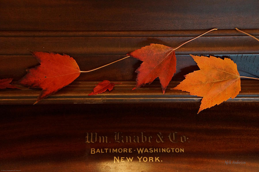 Autumn Piano 3 Photograph
