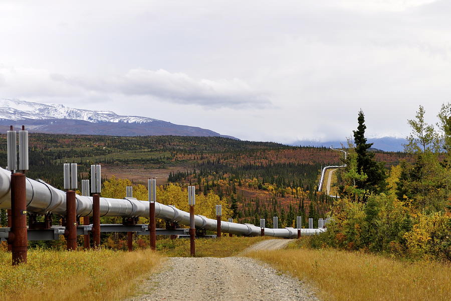 Autumn Pipeline Photograph by Cathy Mahnke
