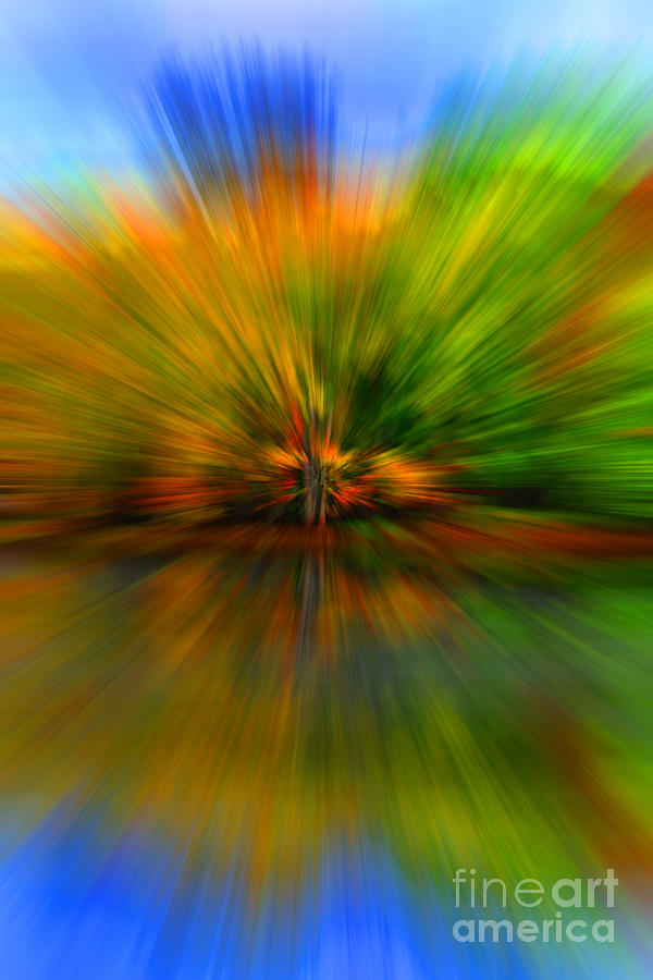 Autumn Pixel Burst Photograph by Diane E Berry