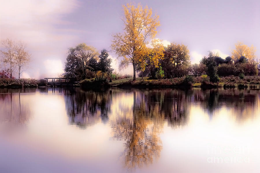Autumn Pond Photograph by Elaine Manley