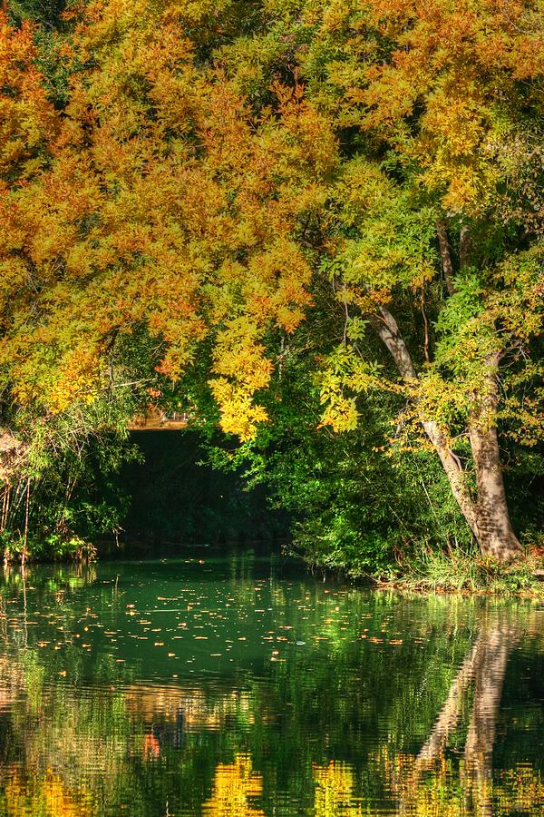 Autumn Pond Photograph by Ester McGuire