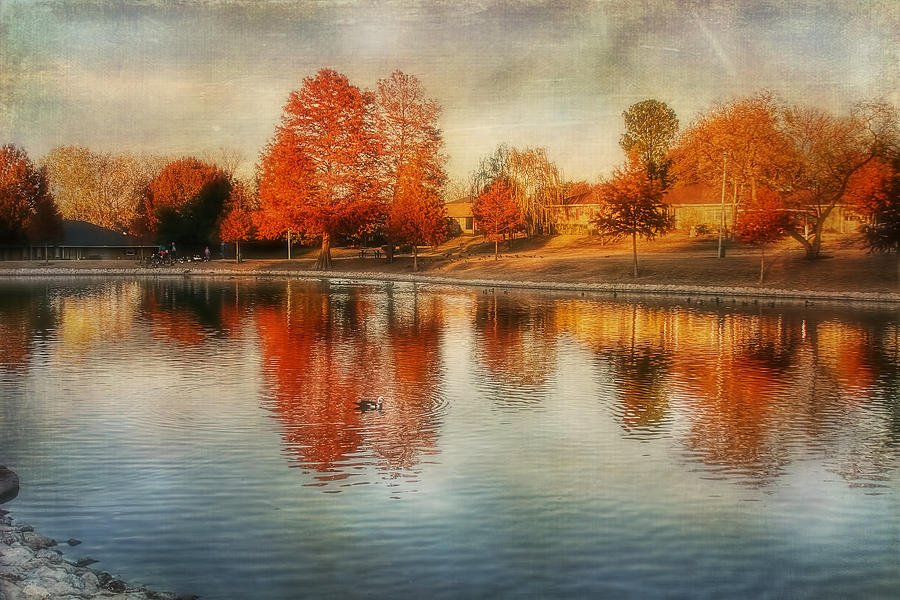 Autumn Pond Photograph by Joan Bertucci
