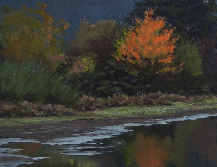 Autumn Pond Painting by Karen Ilari