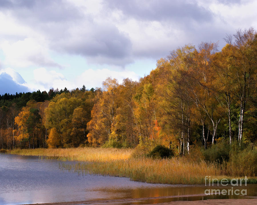 Autumn Pond Photograph by Lutz Baar