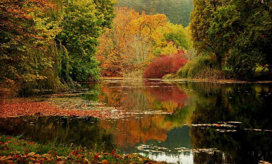 Autumn Pond Photograph by Marilyn Wilson
