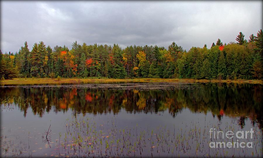 Fall Photograph - Autumn Pond by Michael Griffiths