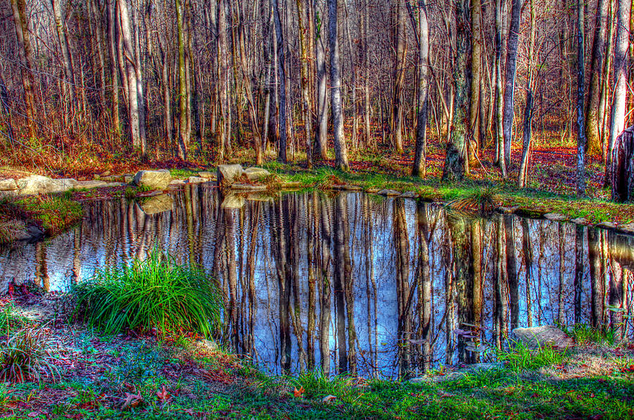 Autumn pond reflections Photograph by Andy Lawless