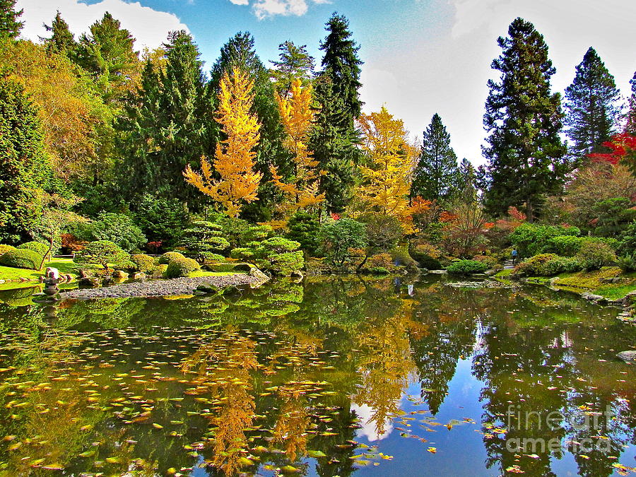 Nature Photograph - Autumn Pond by Sean Griffin