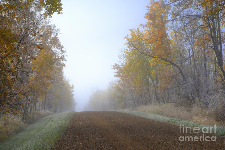 Autumn Prairie Roads Photograph by Dan Jurak