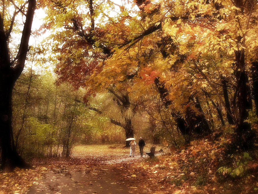 Autumn Promenade Photograph by Jessica Jenney