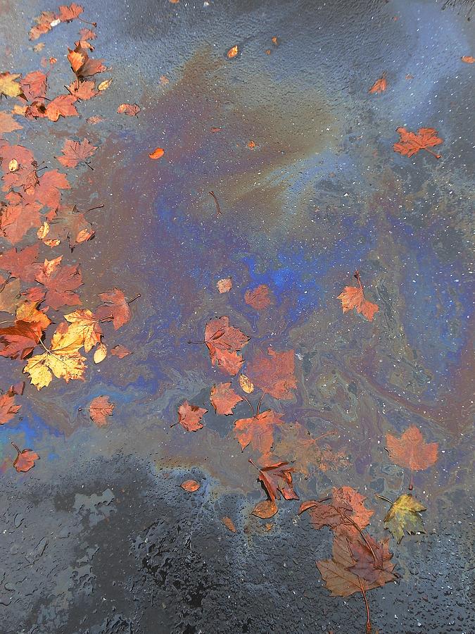 Autumn Puddle by John Norman Stewart Autumn Puddle by John Norman Stewart