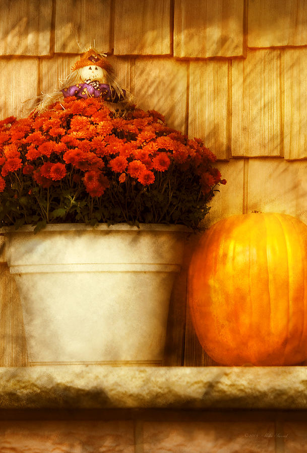 Autumn - Pumpkin - Autumn still life III Photograph by Mike Savad