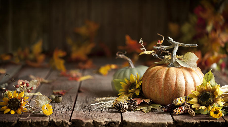 Autumn Pumpkin Background on Wood Photograph by Liliboas