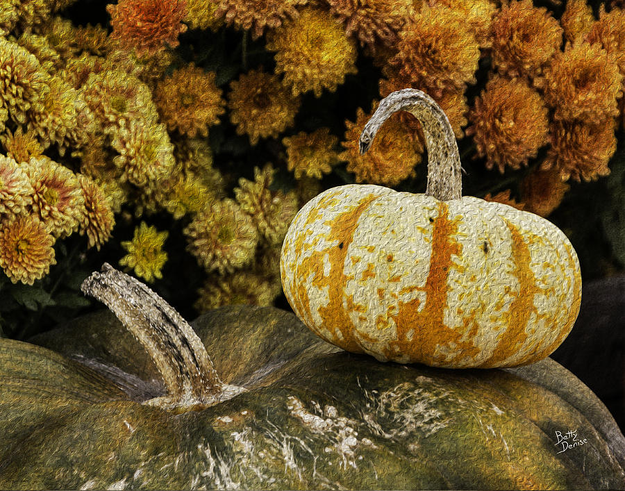 Pumpkin Photograph - Autumn Pumpkins and Mums by Betty Denise