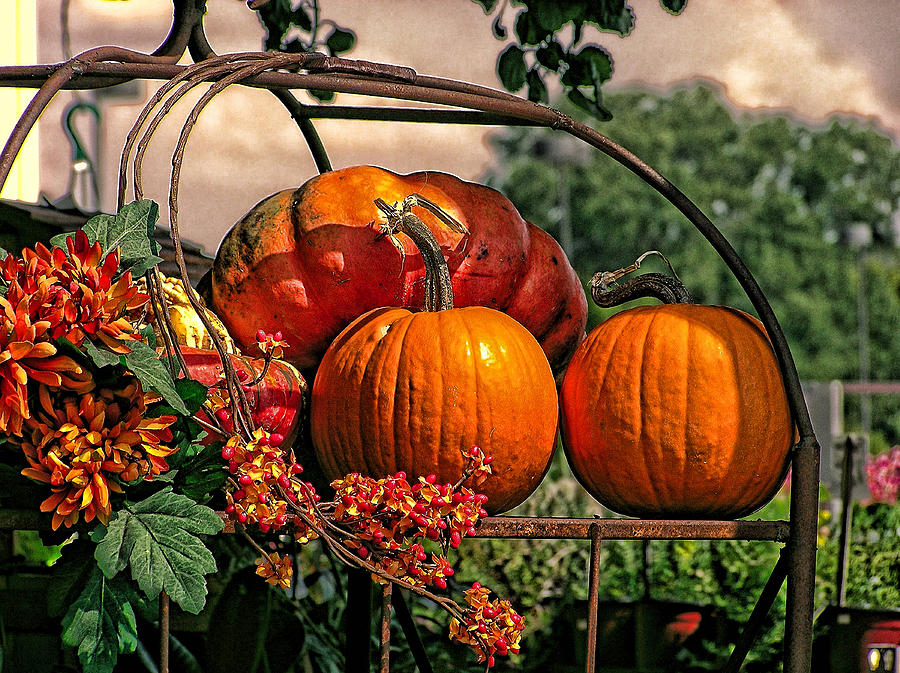 Autumn Pumpkins Photograph by Shannon Story