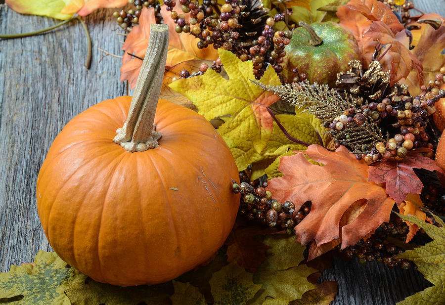Autumn Pumpkins surrounded by leaves Photograph by Brandon Bourdages ...