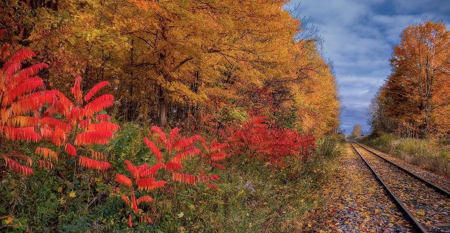 Autumn Railroad Photograph by Henry Kowalski