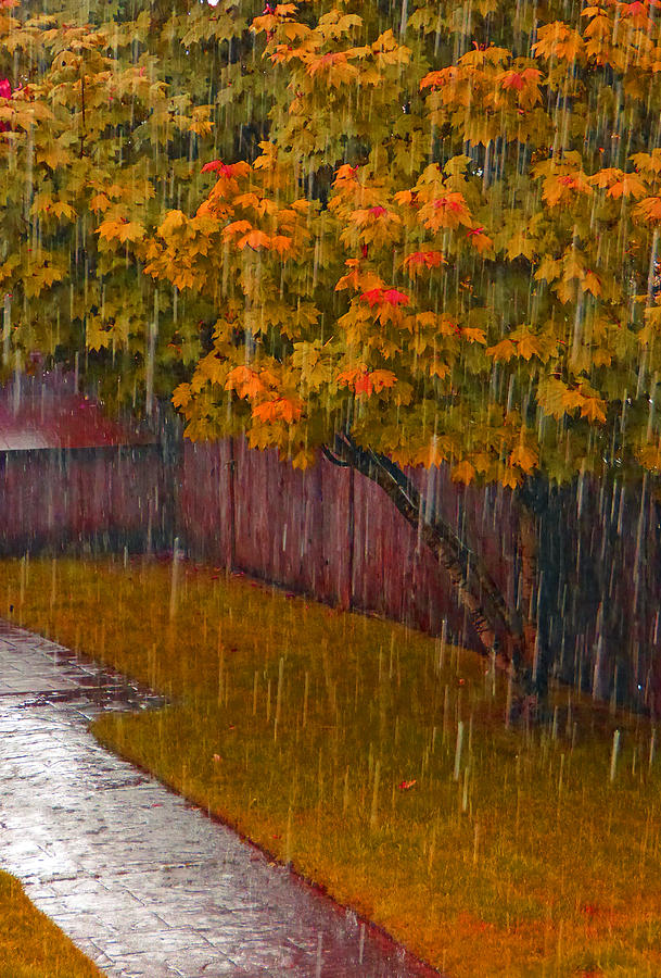 Autumn Rain Photograph by Laurie Tsemak
