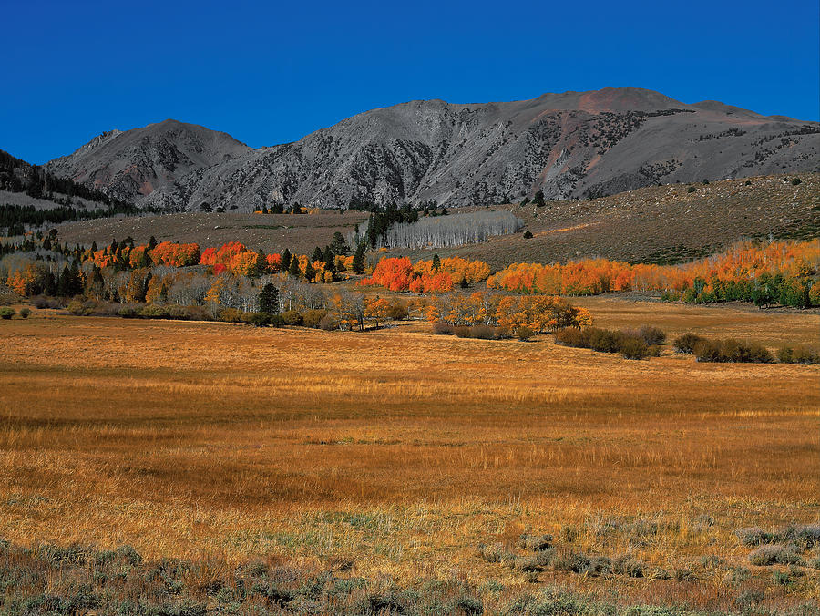 Autumn Range Photograph by Paul Breitkreuz