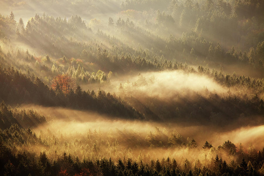 Autumn Rays Photograph by Martin Rak