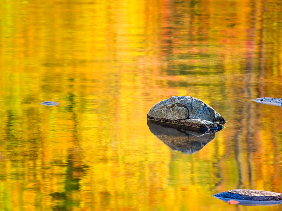 Autumn Reflected Photograph by Joan Herwig