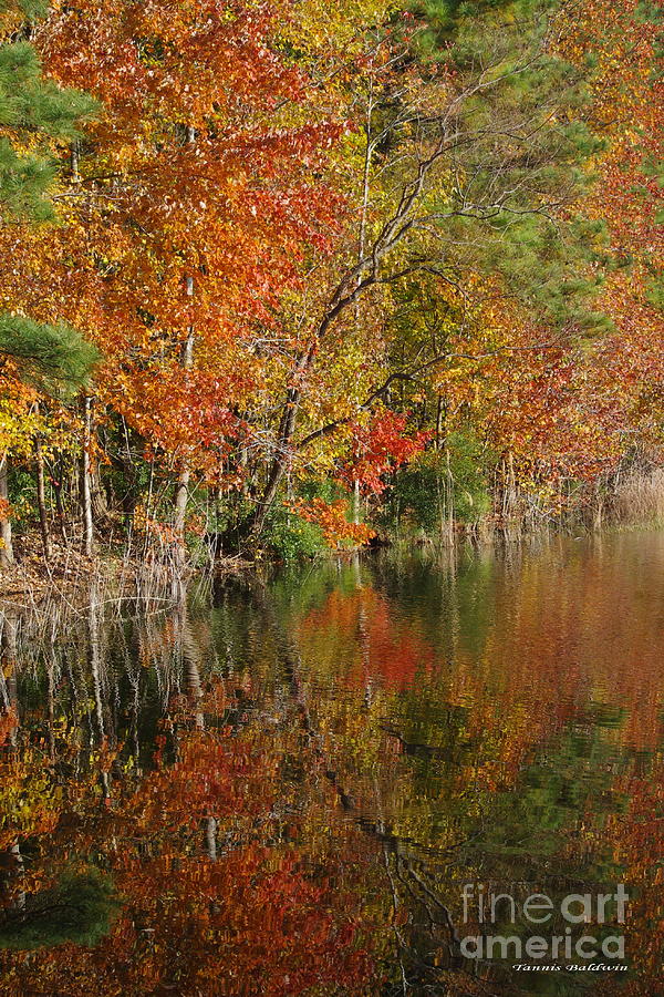 Autumn Reflection 1 Photograph by Tannis  Baldwin