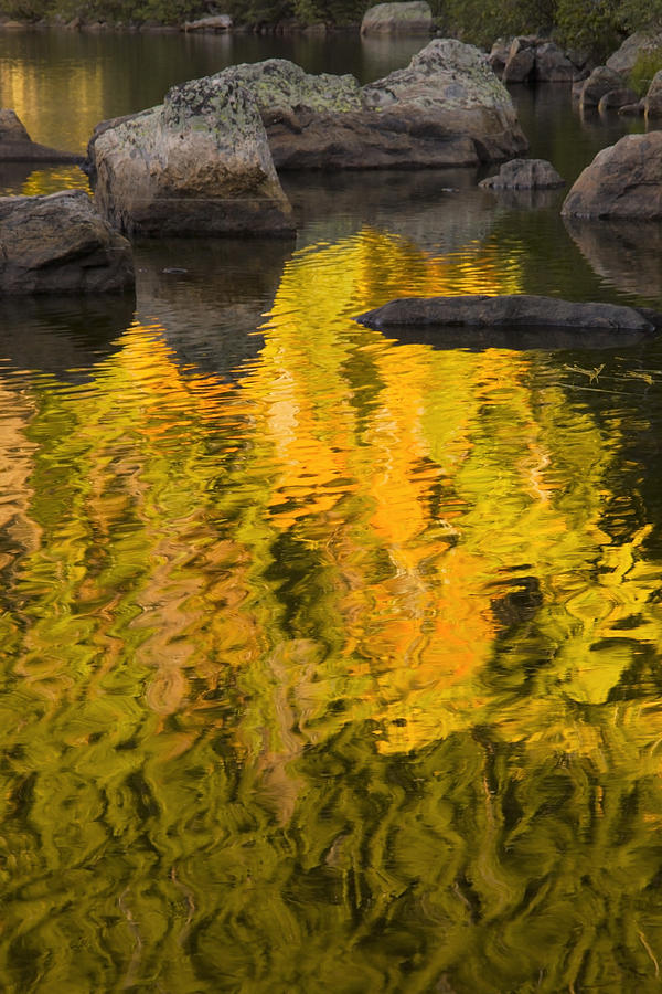 Autumn Reflection Abstract Photograph by Morris McClung