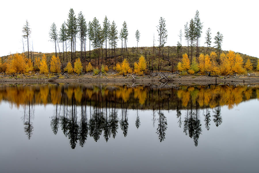 Autumn Reflection Photograph by Allan Van Gasbeck