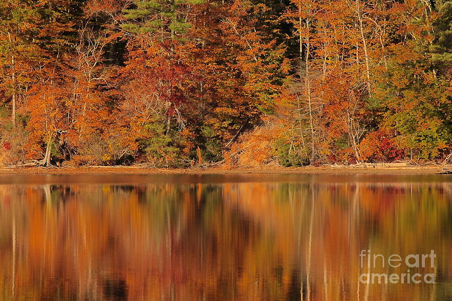 Autumn Reflection  Photograph by Amazing Jules