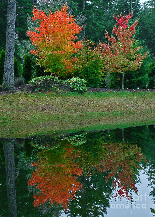 Autumn Reflection Photograph by Chuck Flewelling