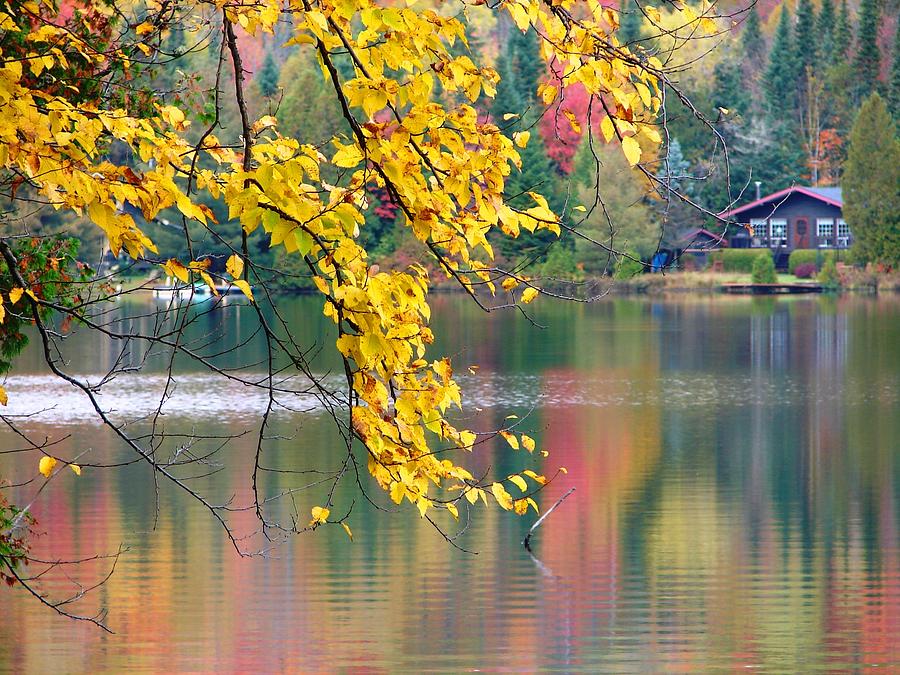 Fall Photograph - Autumn Reflection by Cristina Stefan