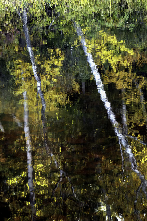 Curtis Photograph - Autumn Reflection by Curtis Dale
