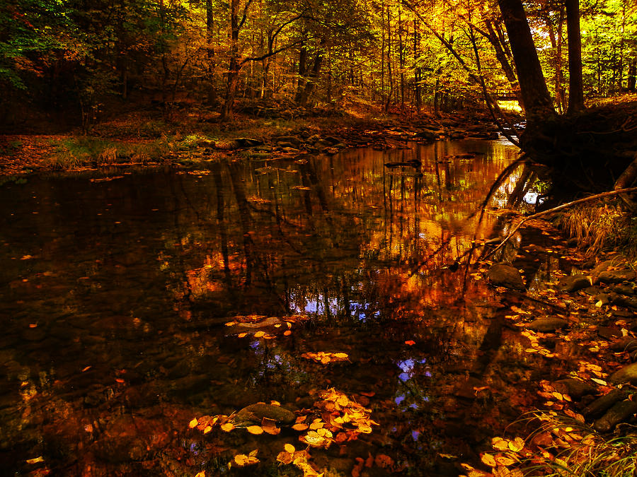 Autumn Reflection Photograph by Deena Stoddard