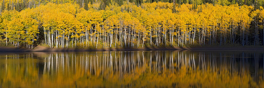 Autumn Reflection Photograph by Dustin LeFevre