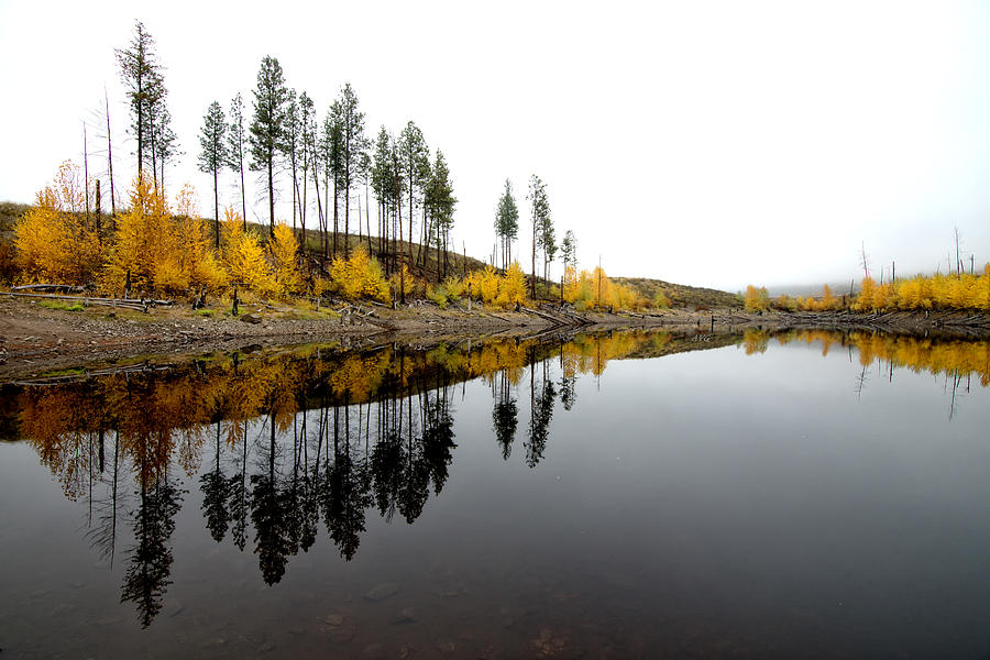 Autumn Reflection Horizon Photograph by Allan Van Gasbeck