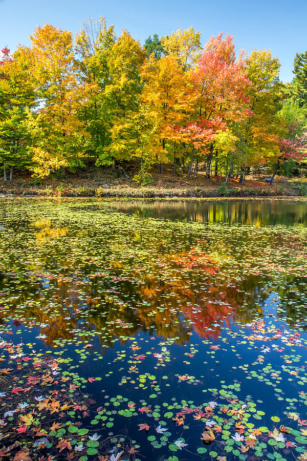 Autumn Reflection in Sherbrooke Quebec Photograph by Pierre Leclerc Photography