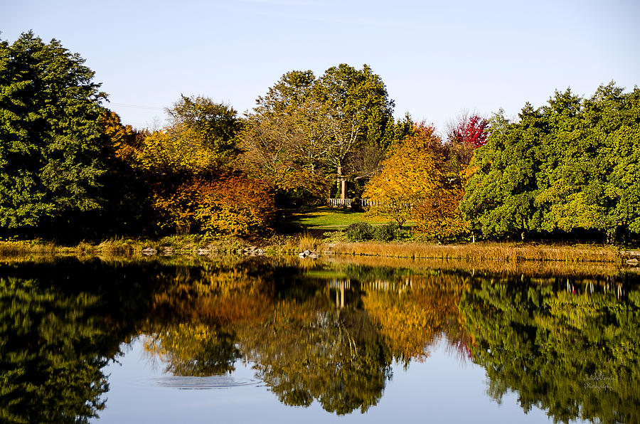Autumn Reflection in the Garden Photograph by Julie Palencia