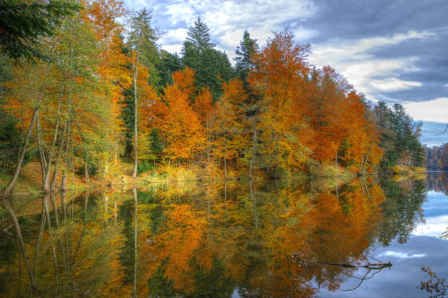 Tree Photograph - Autumn reflection by Ivan Slosar