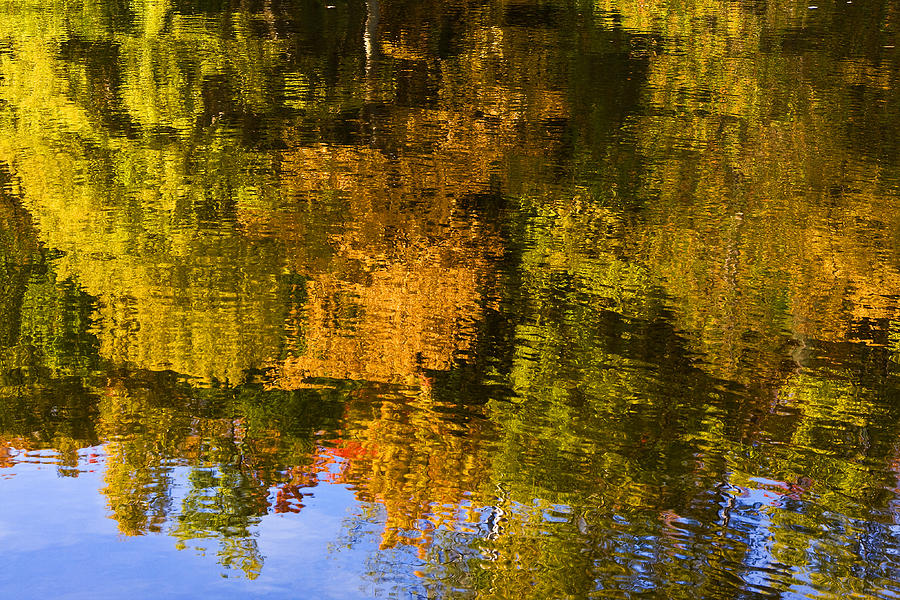 Autumn Reflection Photograph By James Marvin Phelps Pixels