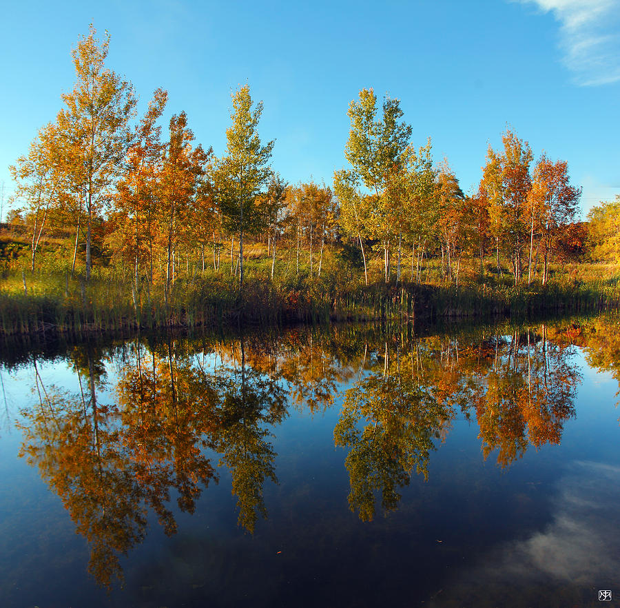 Autumn Reflection Photograph by John Meader