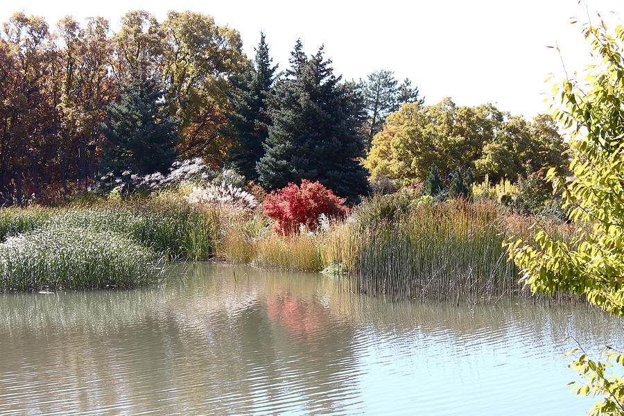 Autumn Reflection Photograph by Kume Bryant